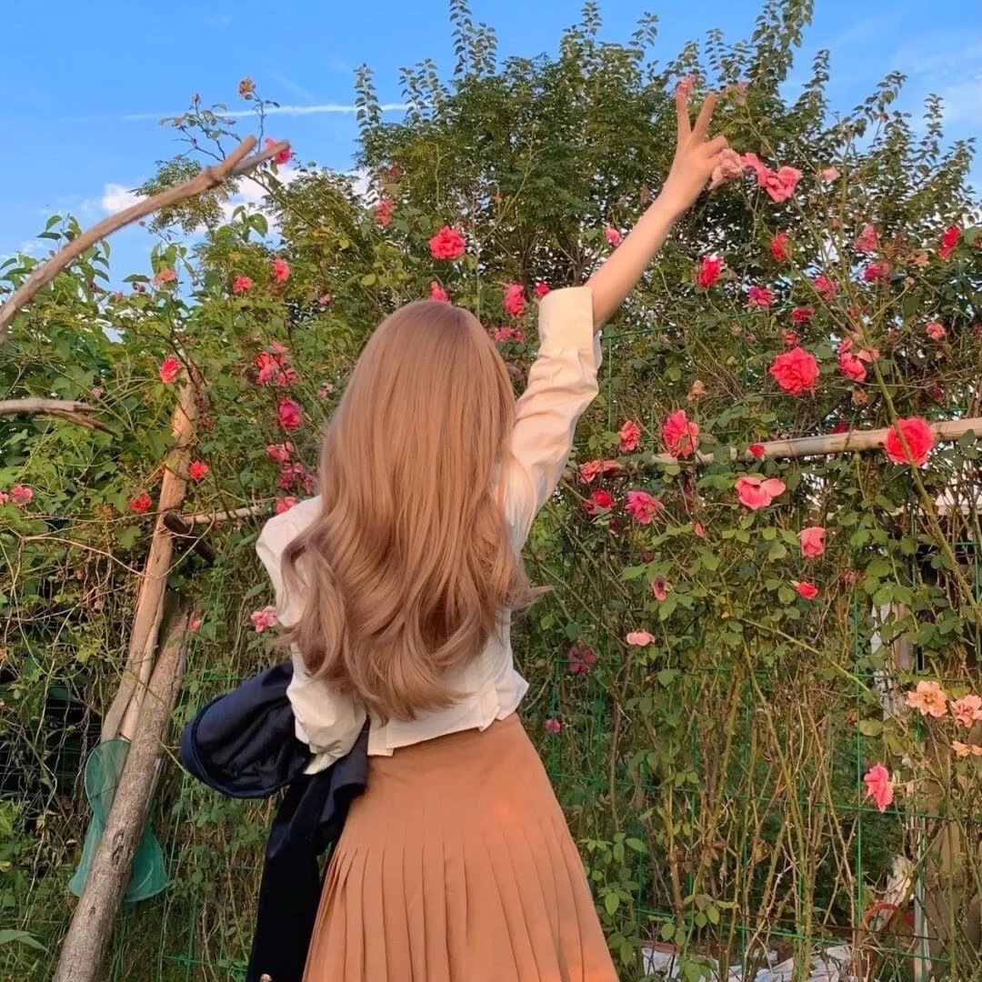大炮破坏者